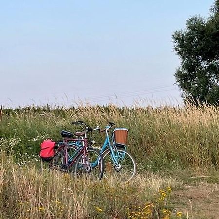 Lwb Ferienwohnung "Auszeit Im Denkmal" Wittenberg Экстерьер фото